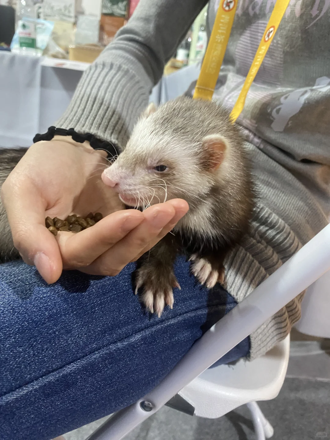 在普洱咖啡展会看见了很多有趣的事物