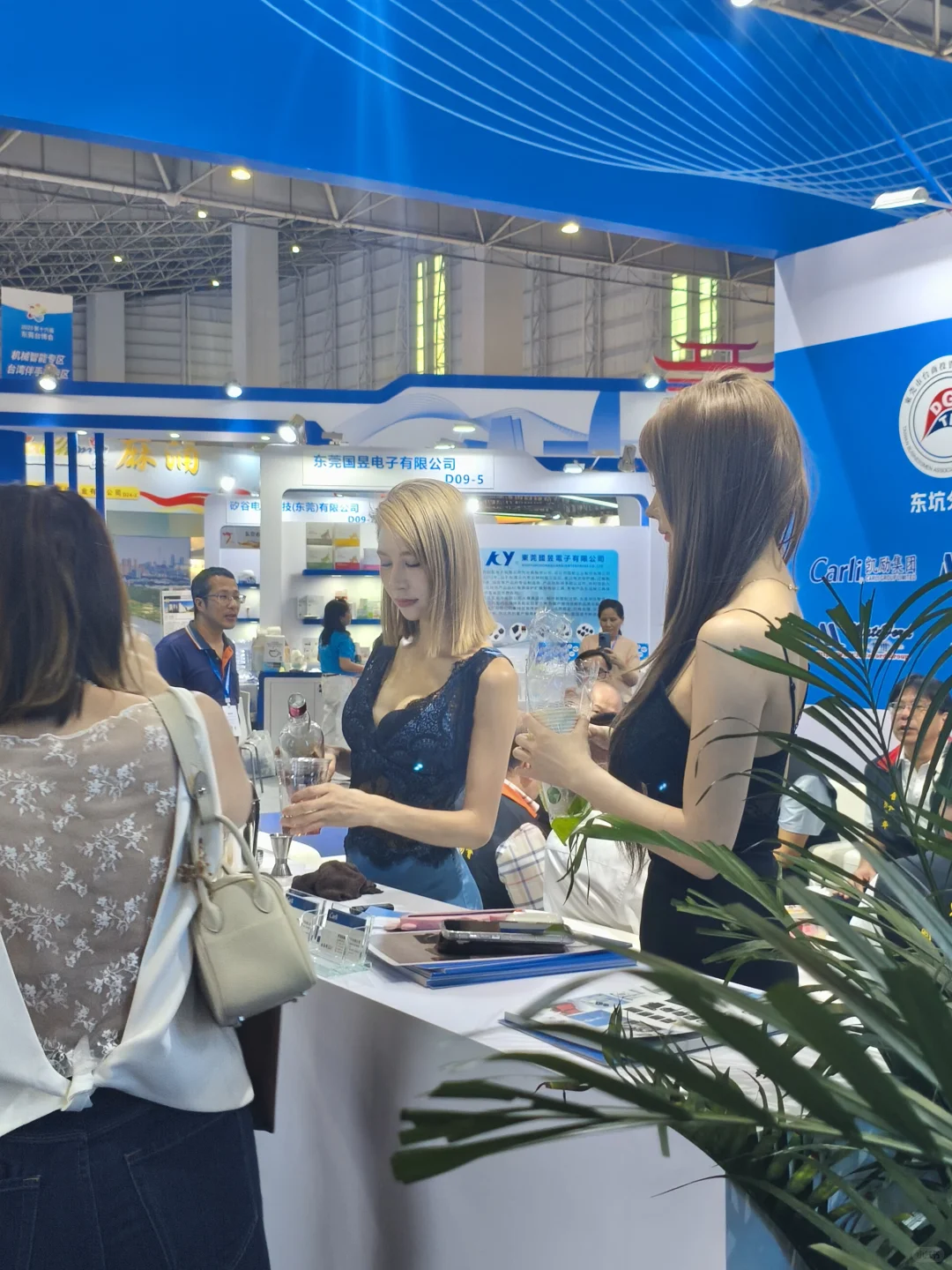 广东省东莞市厚街现代会展中心台博会