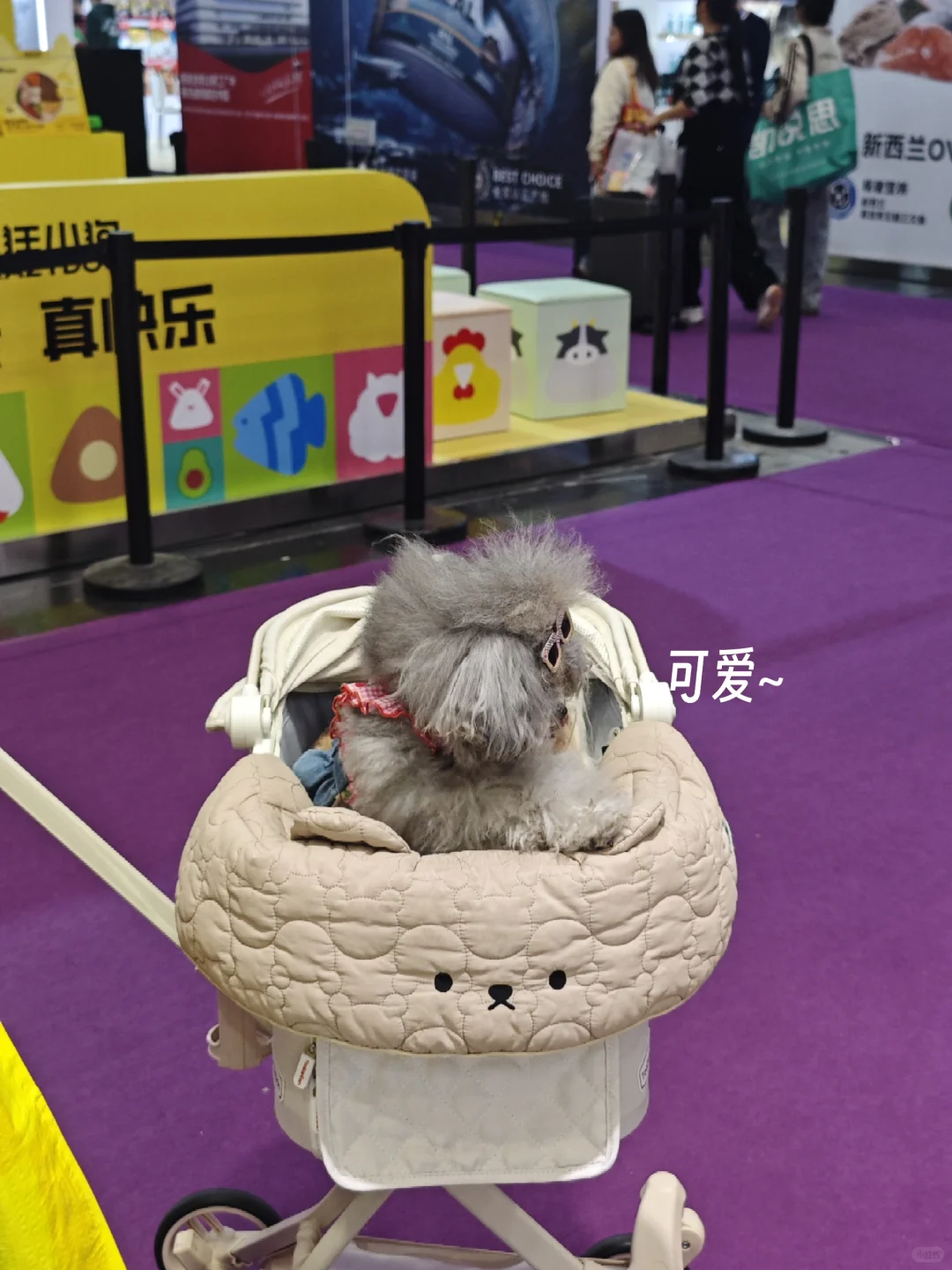 深圳兼职记录（64）| 纸尿裤主理人