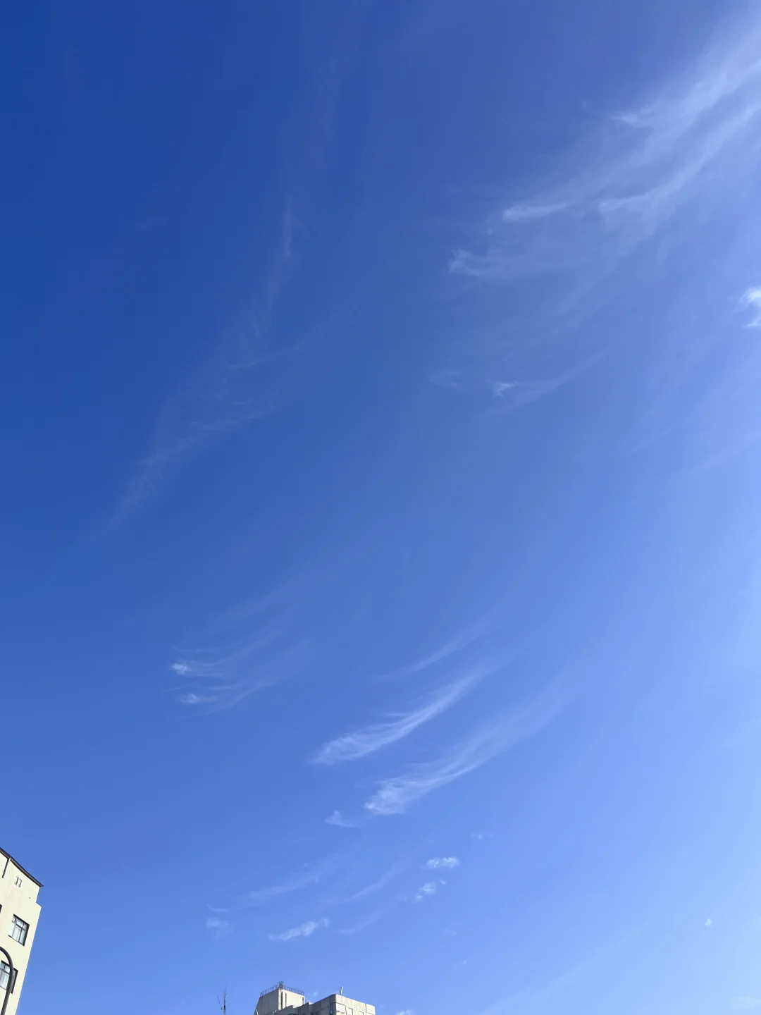 喝喝喝 白酒 从事什么行业