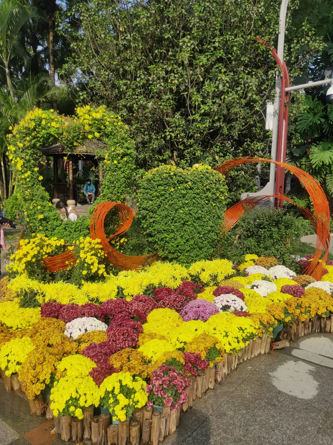 赶上菊展末班车，0元打卡！第66届羊城菊会