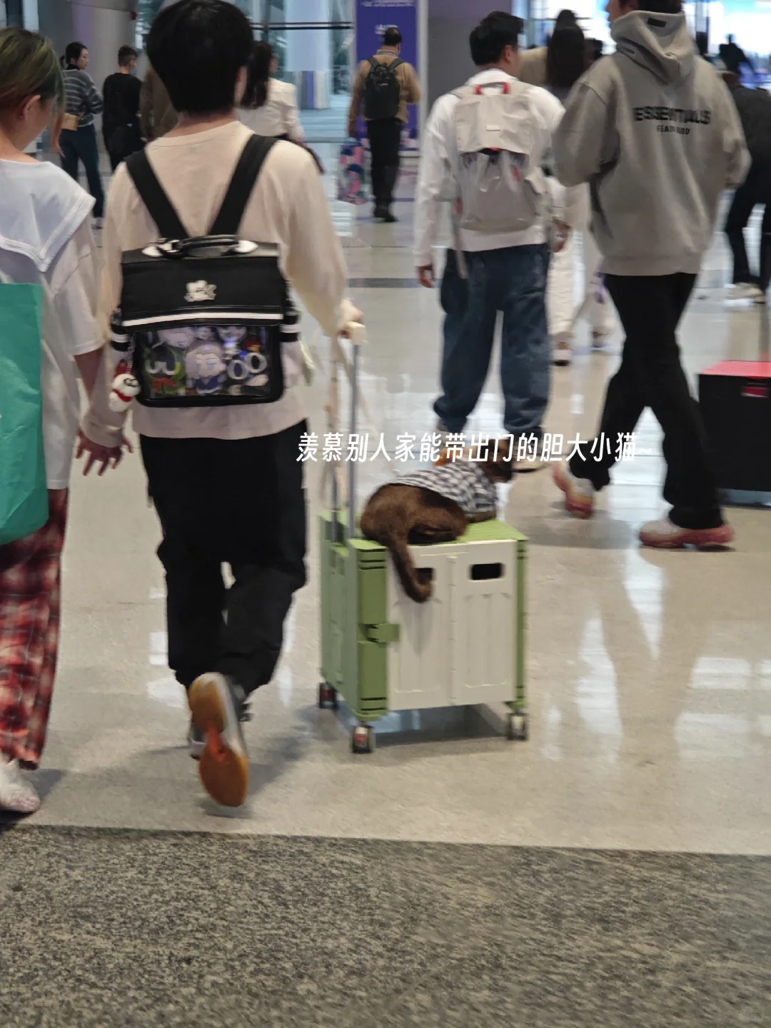 深圳兼职记录（64）| 纸尿裤主理人