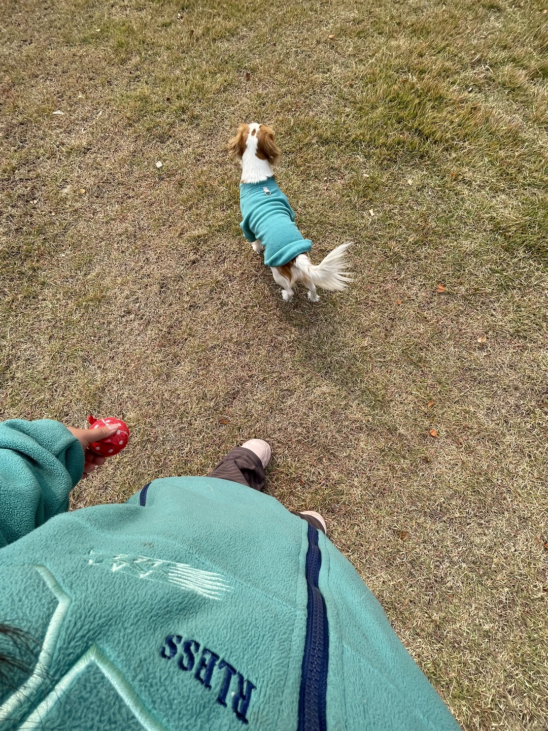 会展中心有没有女狗娃一起耍！