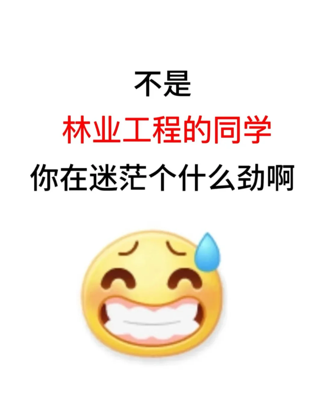 天塌了，林业工程同学还不知道啊