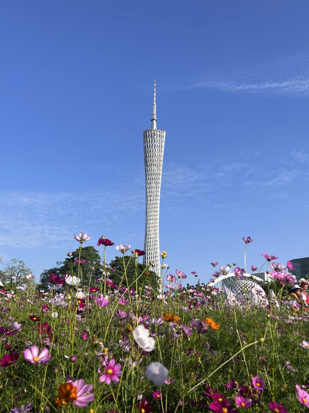 广州园博会,太好看了吧,附攻略