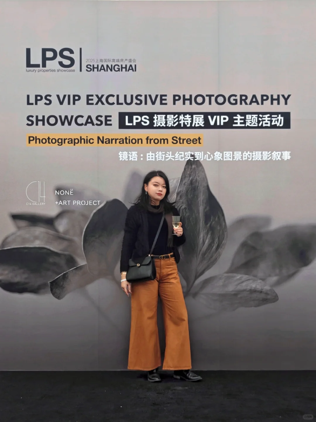 一年一度LPS | 除了看高端房产还有VIP活动