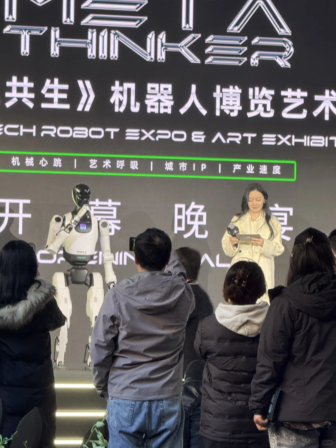 没什么可看的，就这些