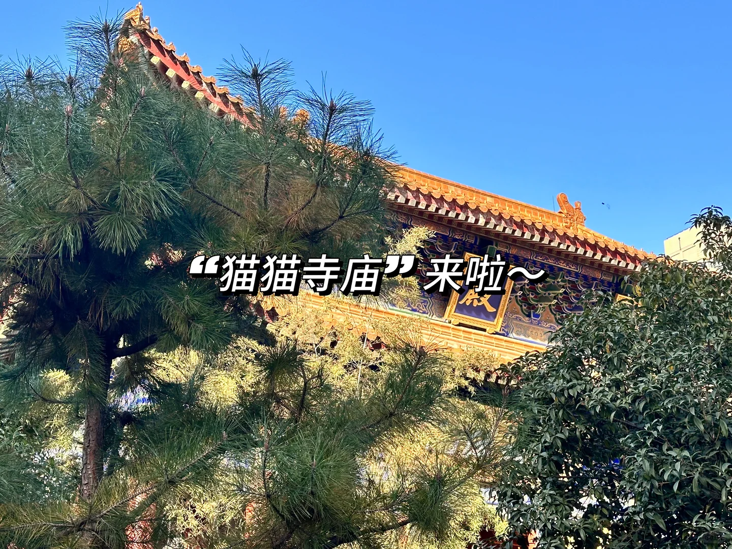 大三会展实习归来，带回三条“生存法则”