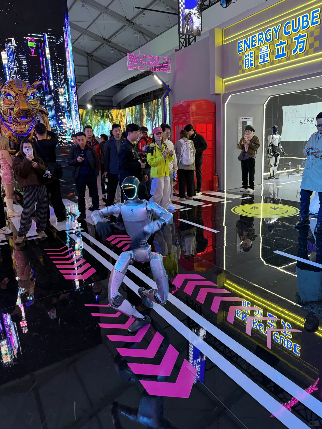 没什么可看的，就这些