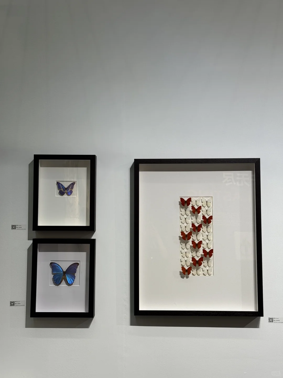 深圳又有新展了 | 第十二届艺术深圳