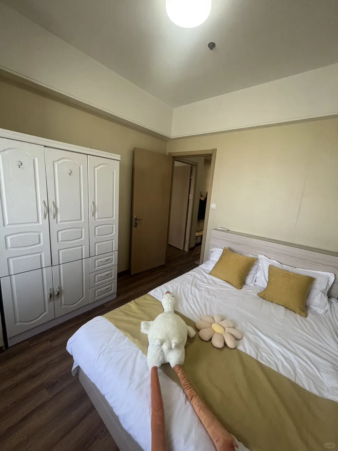 滨湖会展中心 金融港 滨湖新地城精装小两房