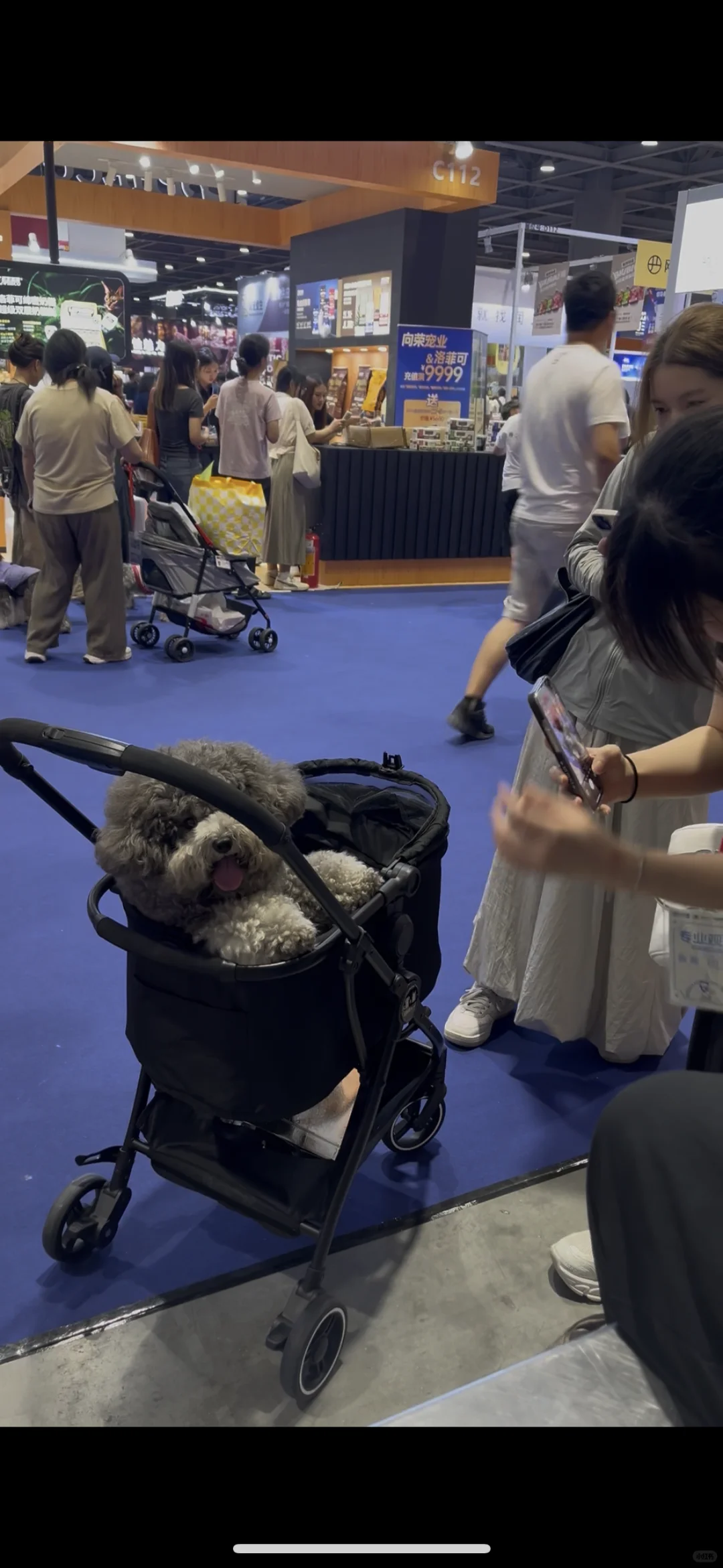 有没有宝子要冲的