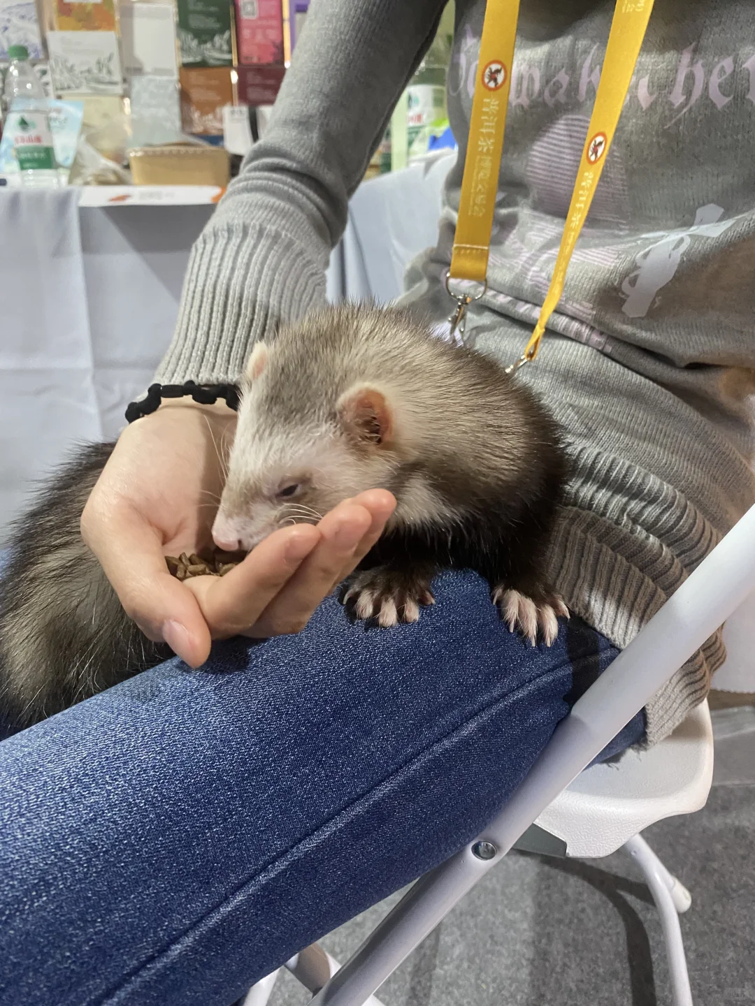 在普洱咖啡展会看见了很多有趣的事物