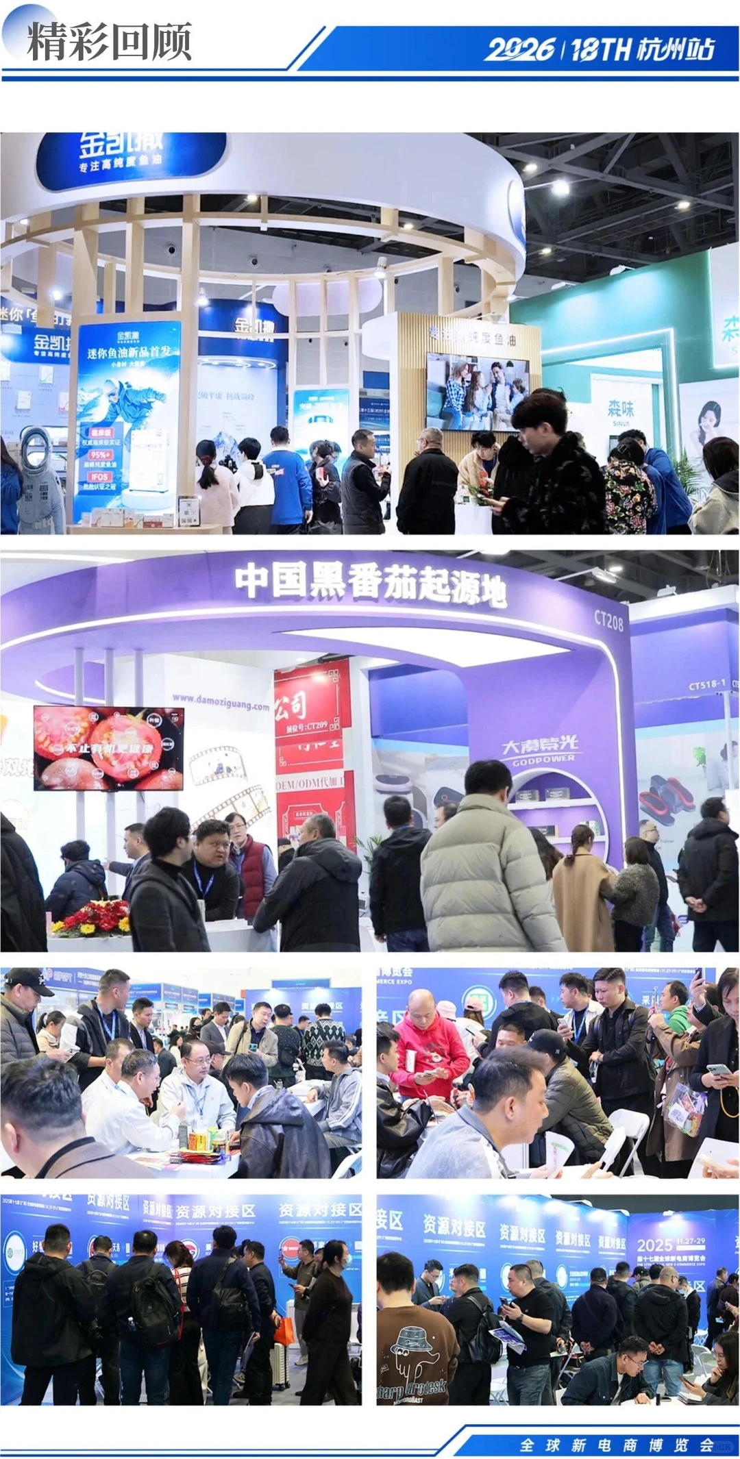 全球新电商博览会