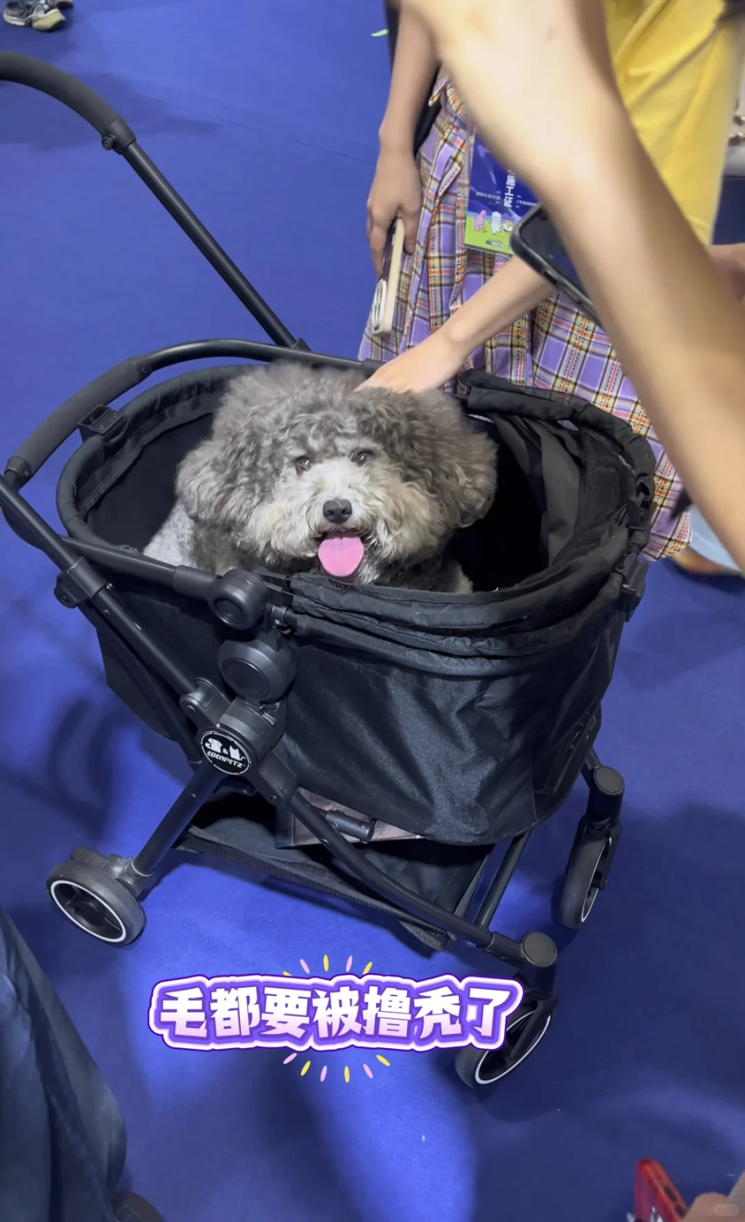 有没有宝子要冲的