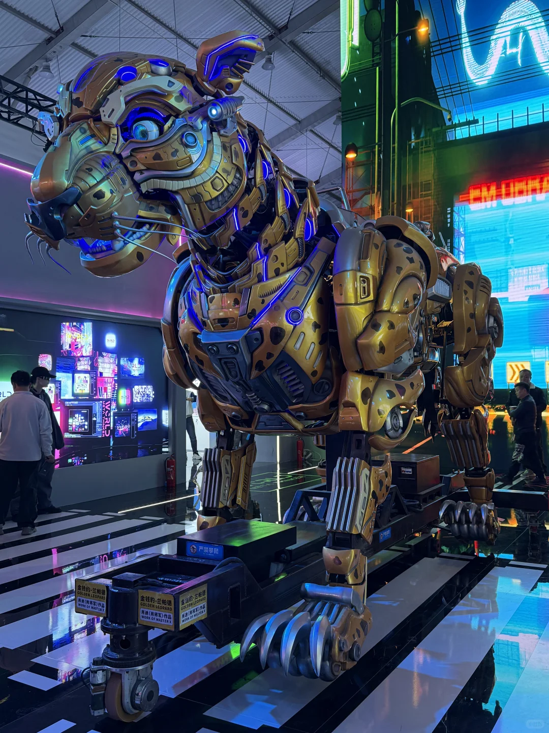 没什么可看的，就这些