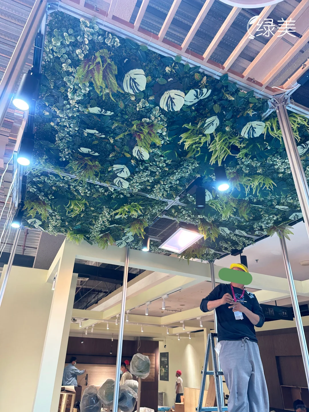 广州琶洲展会室内绿植设计 | 企业展厅布置