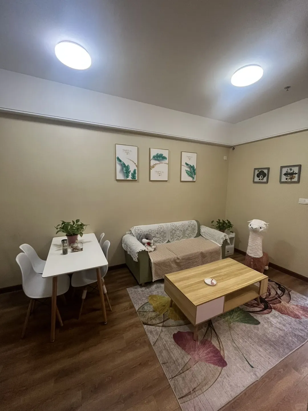 滨湖会展中心 金融港 滨湖新地城精装小两房