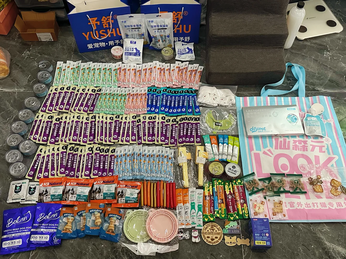 2025南昌世宠会成果！明年再战！(附小攻略)