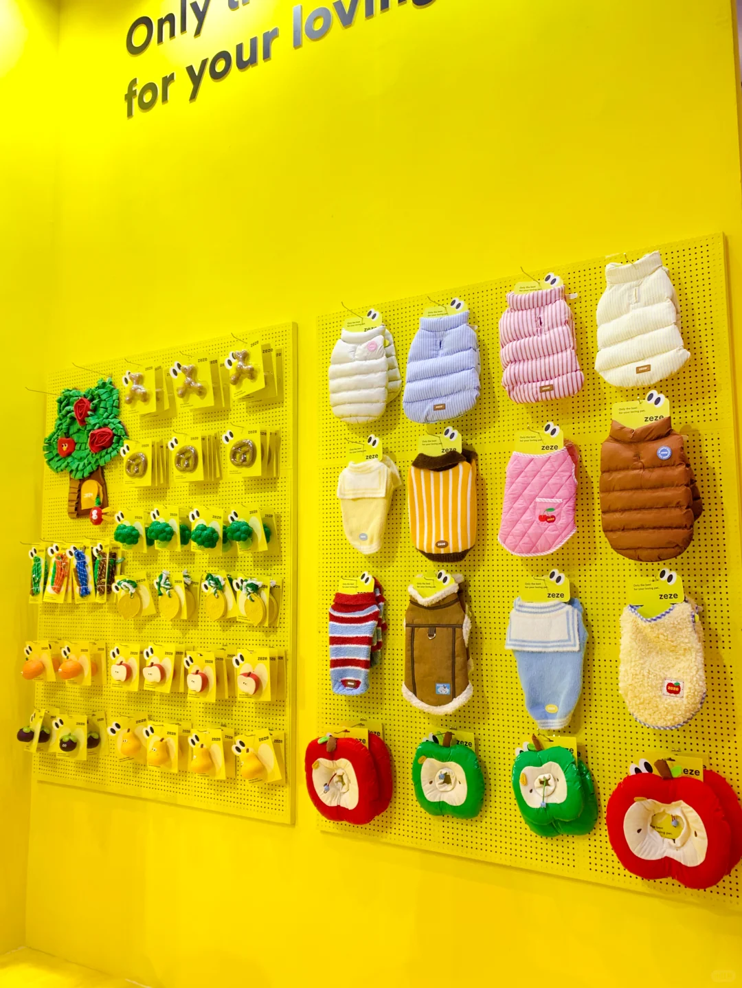 关于深圳华南展，我们想说?