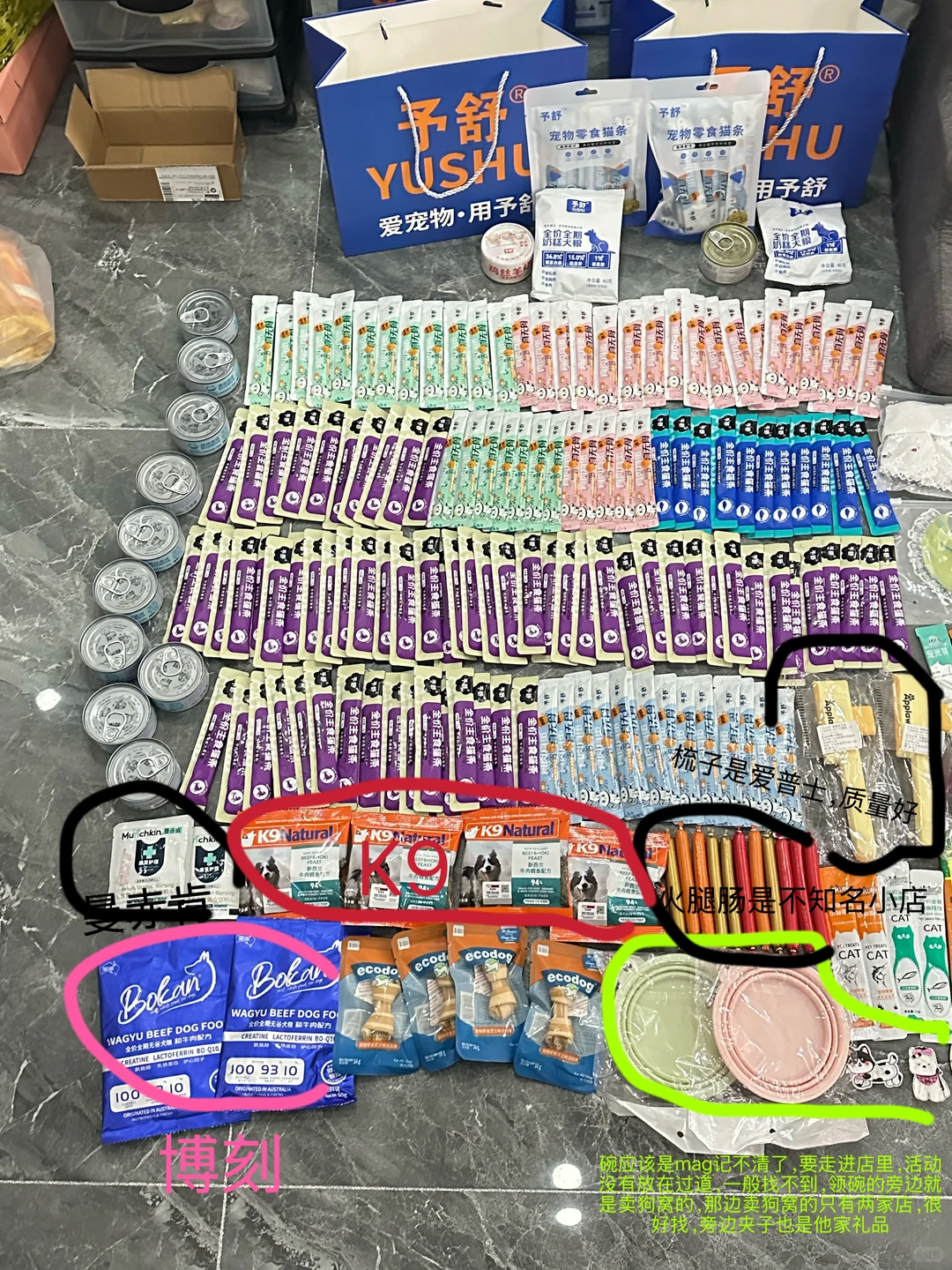 2025南昌世宠会成果！明年再战！(附小攻略)