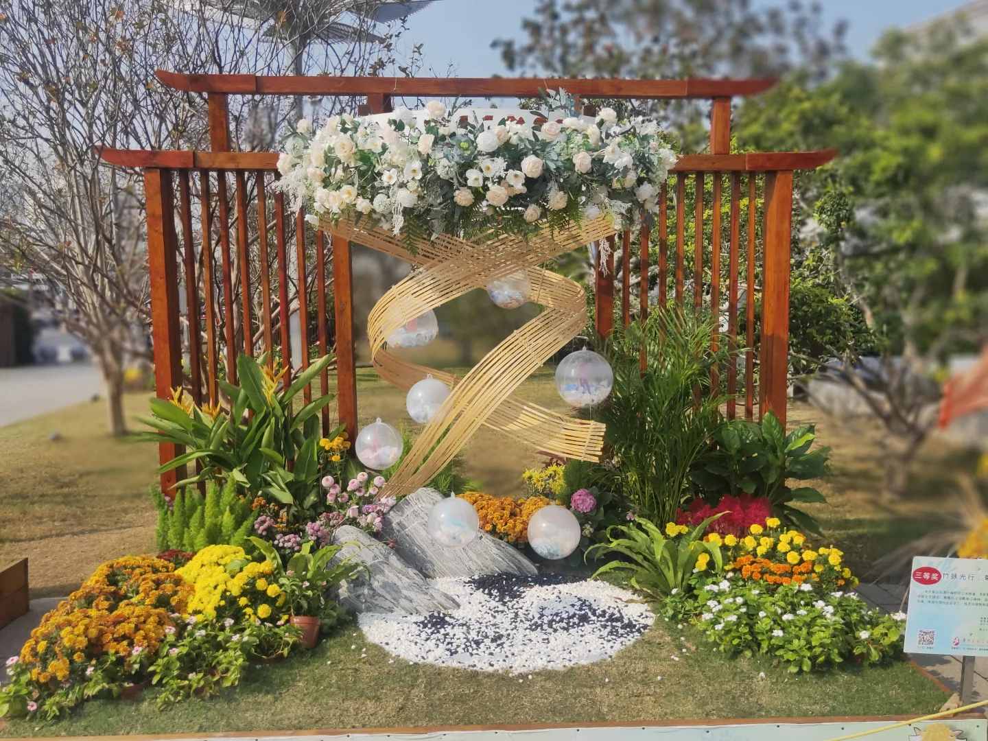 赶上菊展末班车，0元打卡！第66届羊城菊会