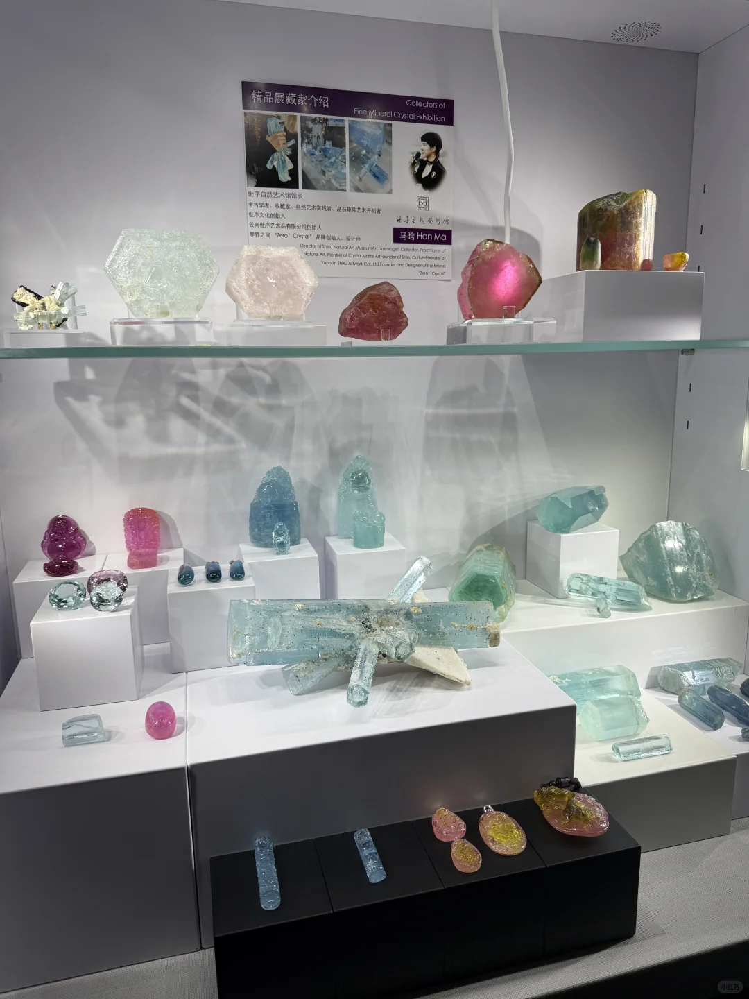 我们来郴州展啦