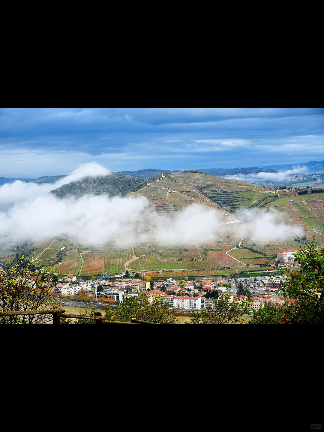 90后法国酒业巨头霸总，一周工作80小时