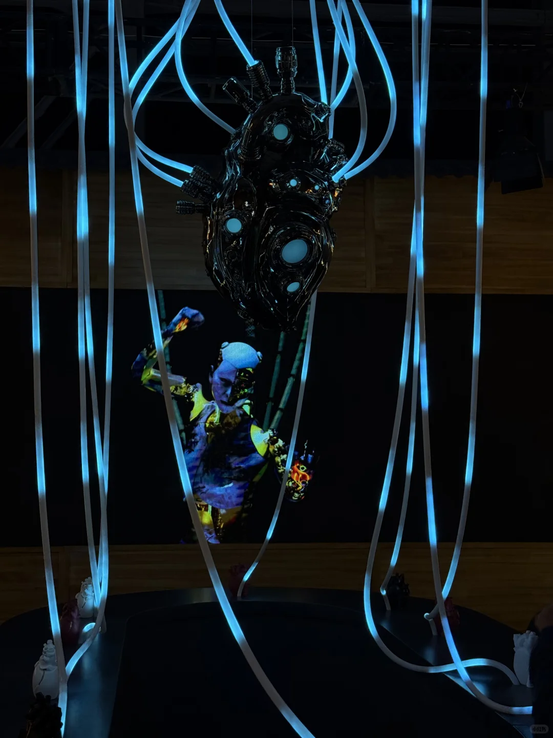 没什么可看的，就这些