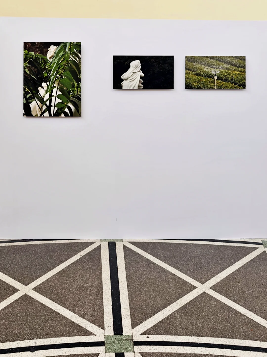 一年一度LPS | 除了看高端房产还有VIP活动