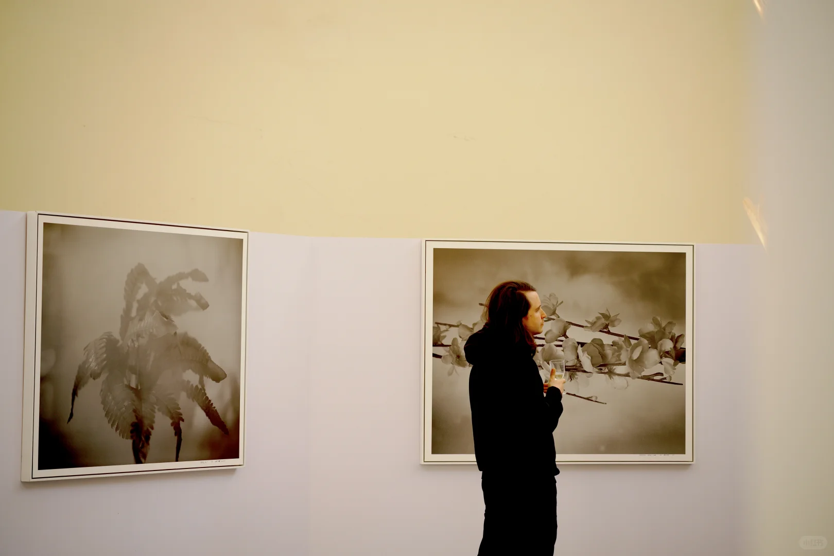 LPS高端房产展会摄影特展