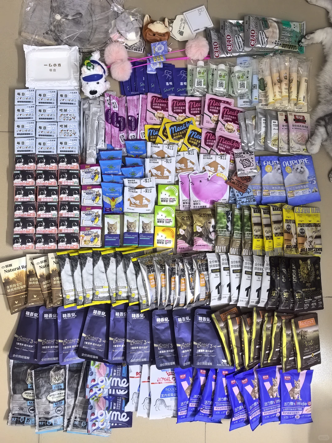 2025深圳亚宠华南展