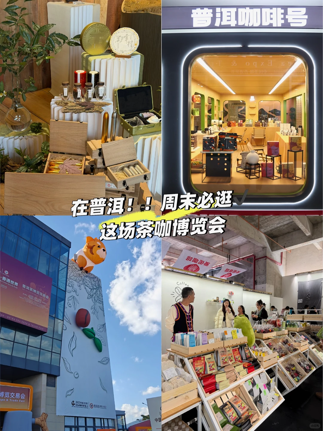 在普洱！周末必逛这场茶咖博览会✔️