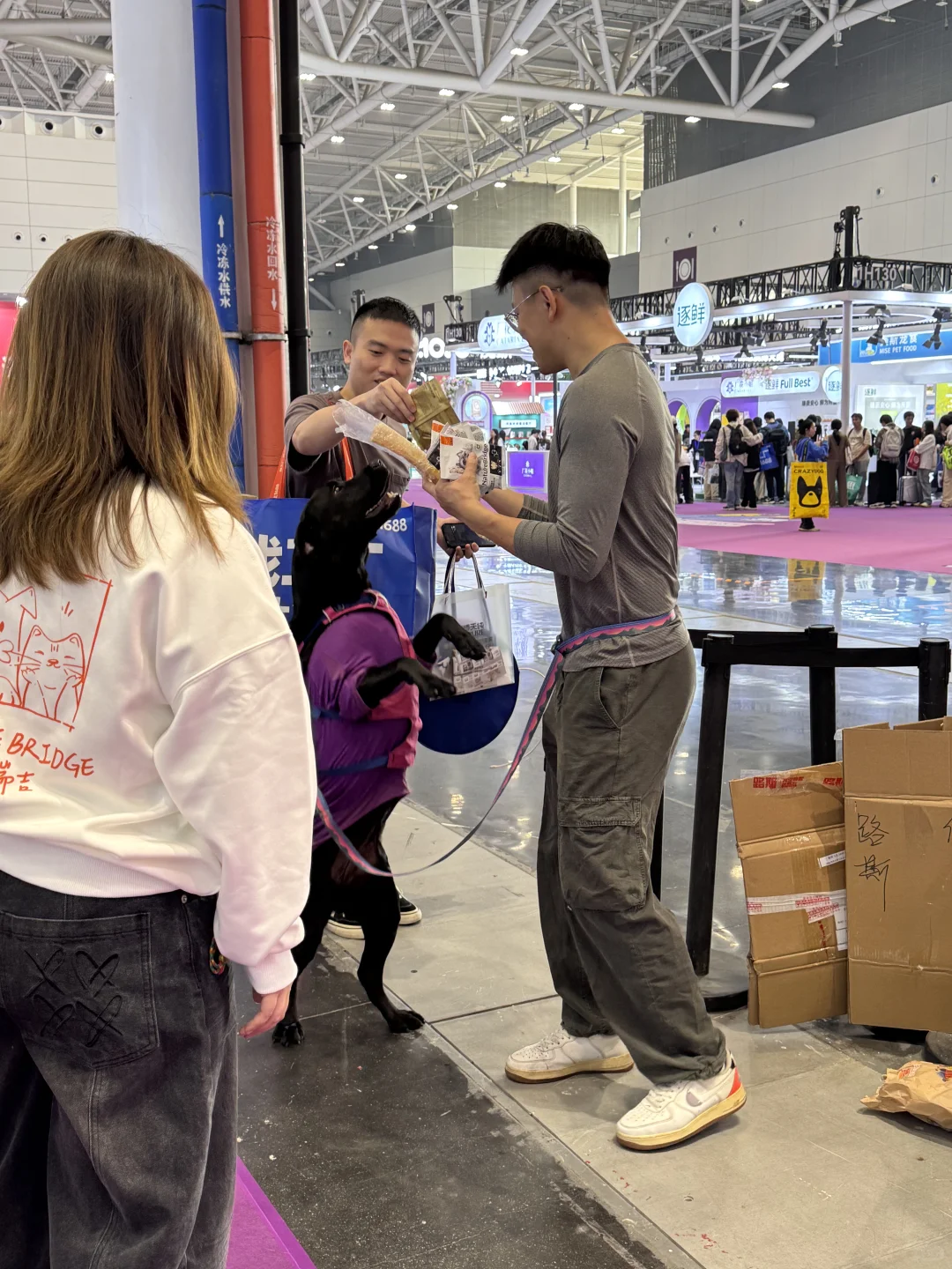 宠物展！！！带上麻袋速冲！（附羊毛攻略）