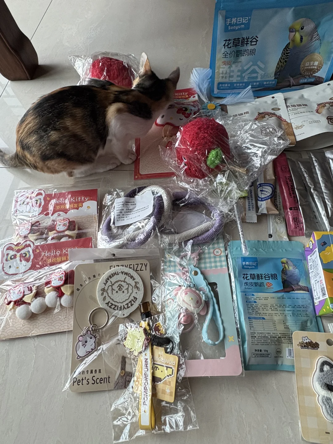 深圳华南亚宠展薅羊毛✌️不枉费我起了个大早