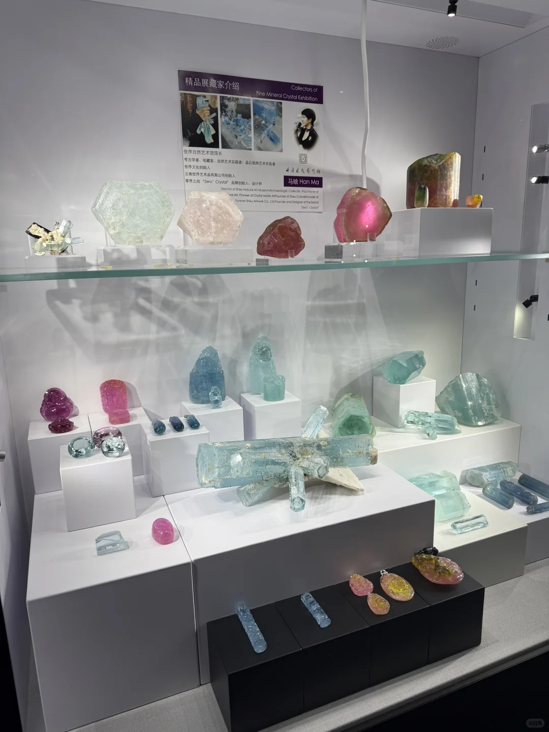 我们来郴州展啦