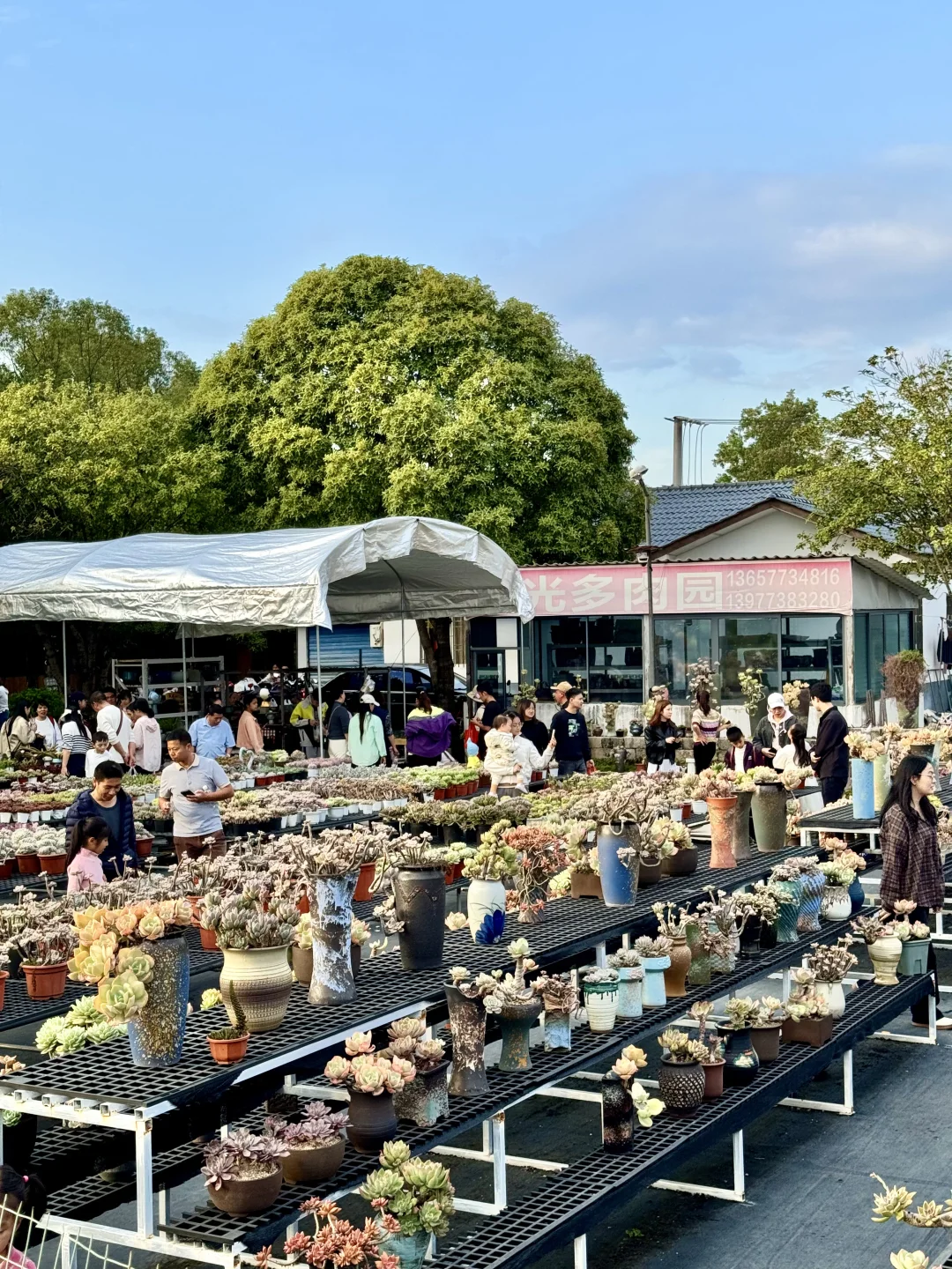 感觉今天1/3的桂林人都来了这里