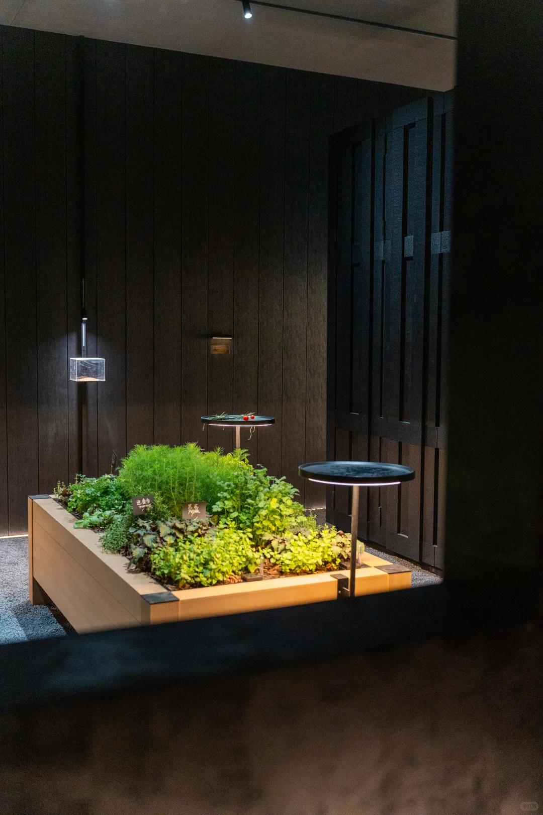 吴滨X地王｜M&O香港展，藏着会发光的地板