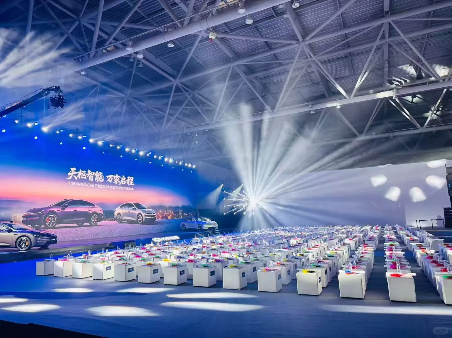 重庆活动在哪里