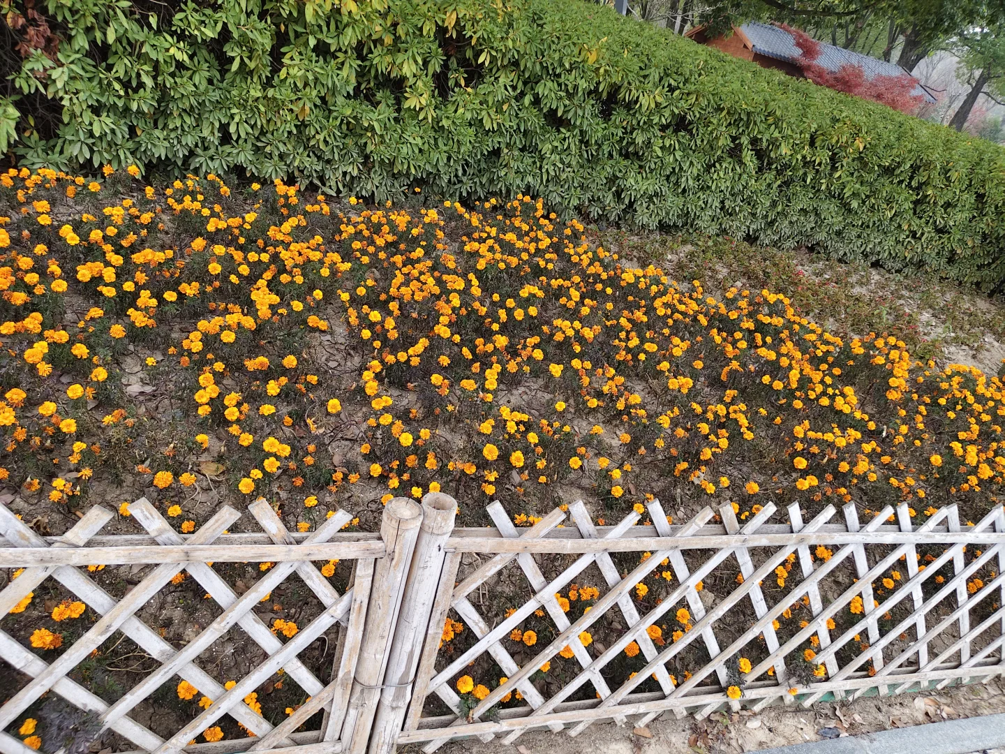 诸暨城市广场?️正热闹！赶大集一样