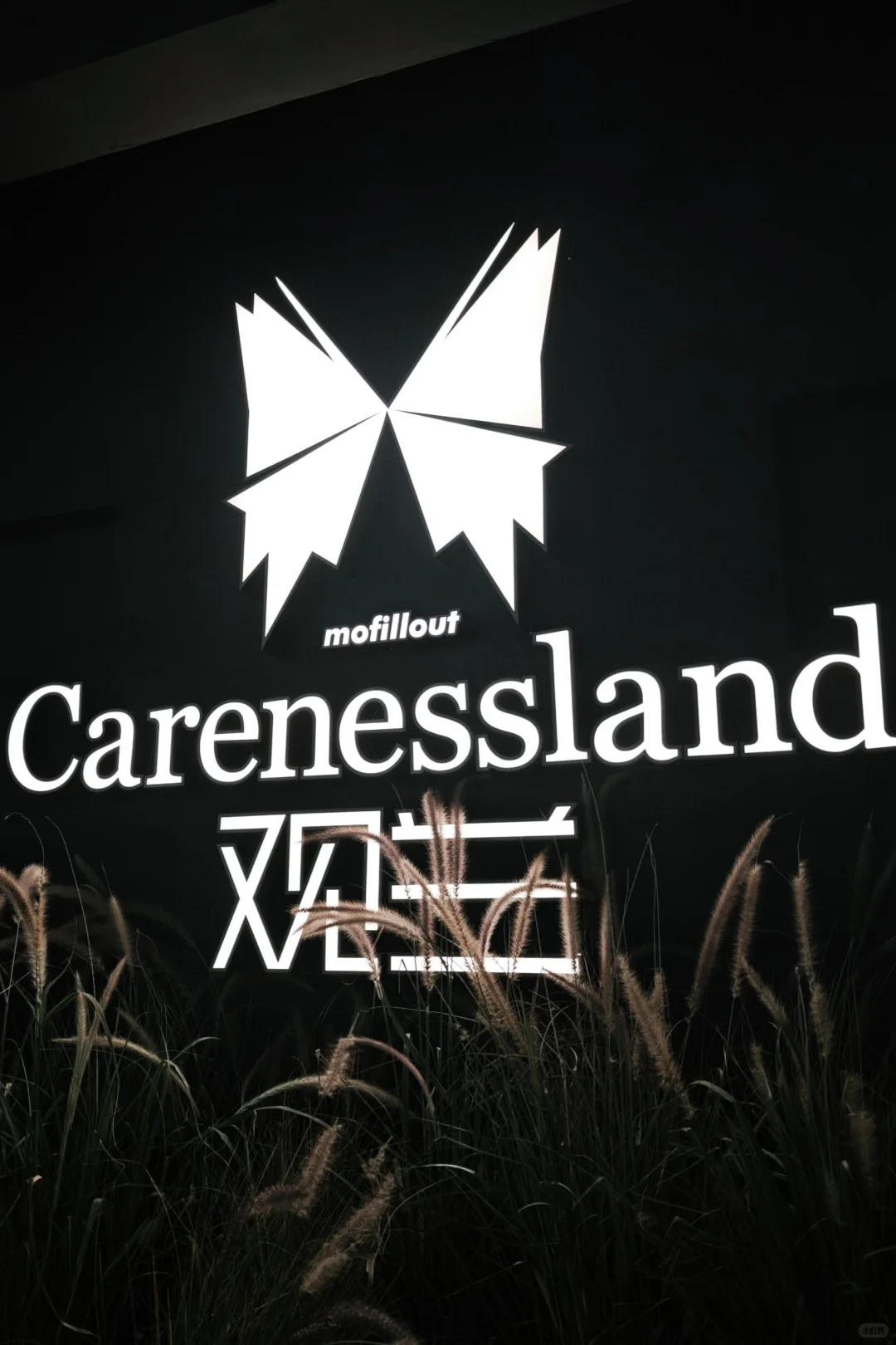 爆逛广州设计展｜45万人冲的美学狂欢周