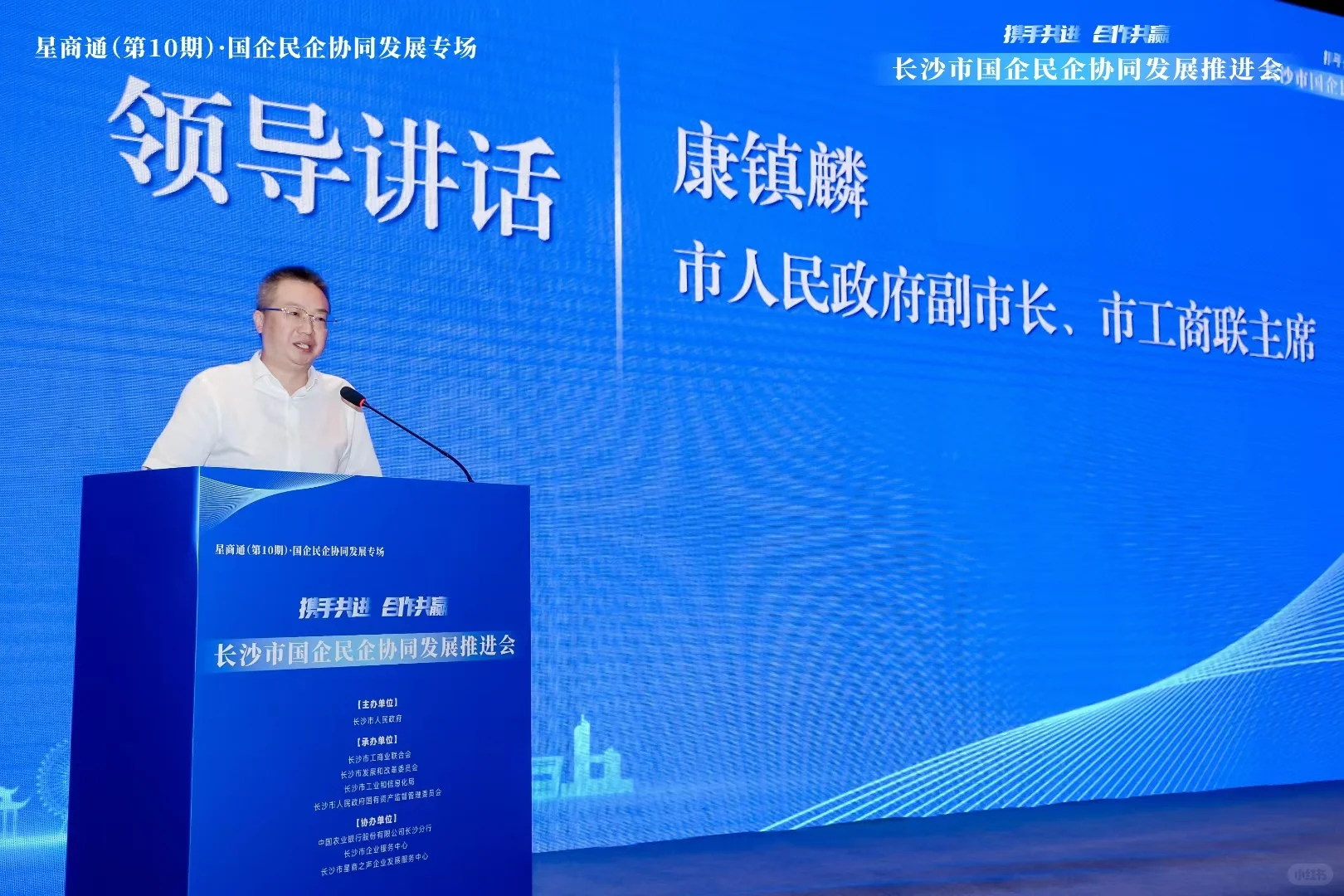 国企民企推荐会