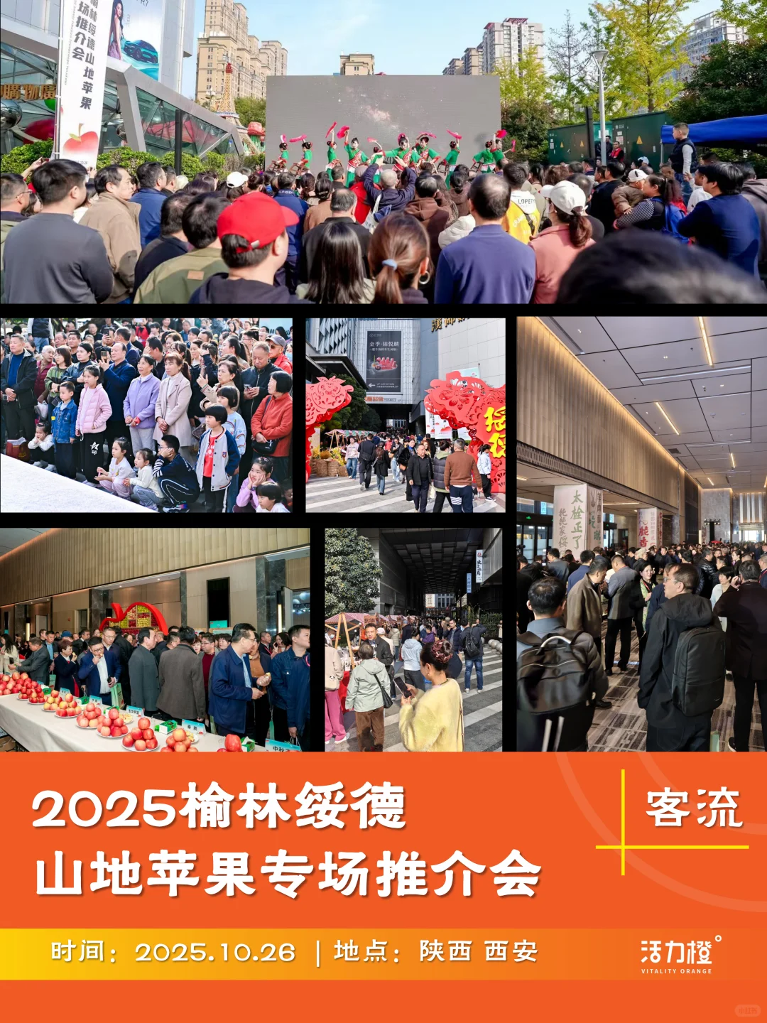 把苹果玩出花！一场关于苹果的创意推介会