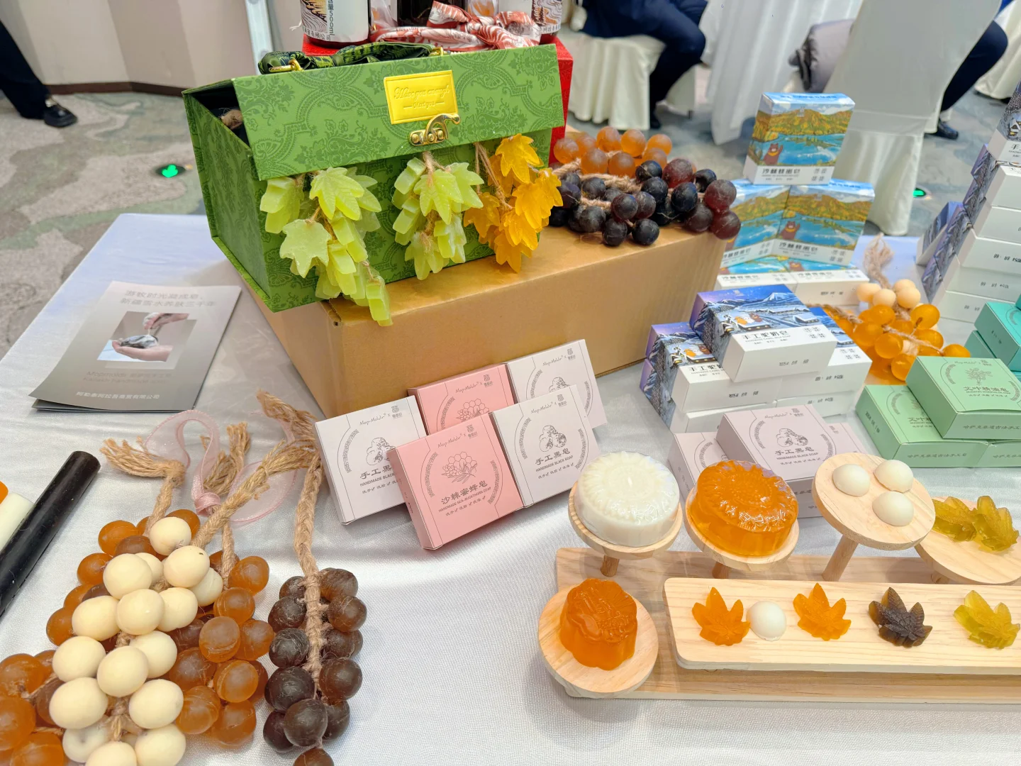 中国雪都 投资沃土”冰雪产业专题招商推介会