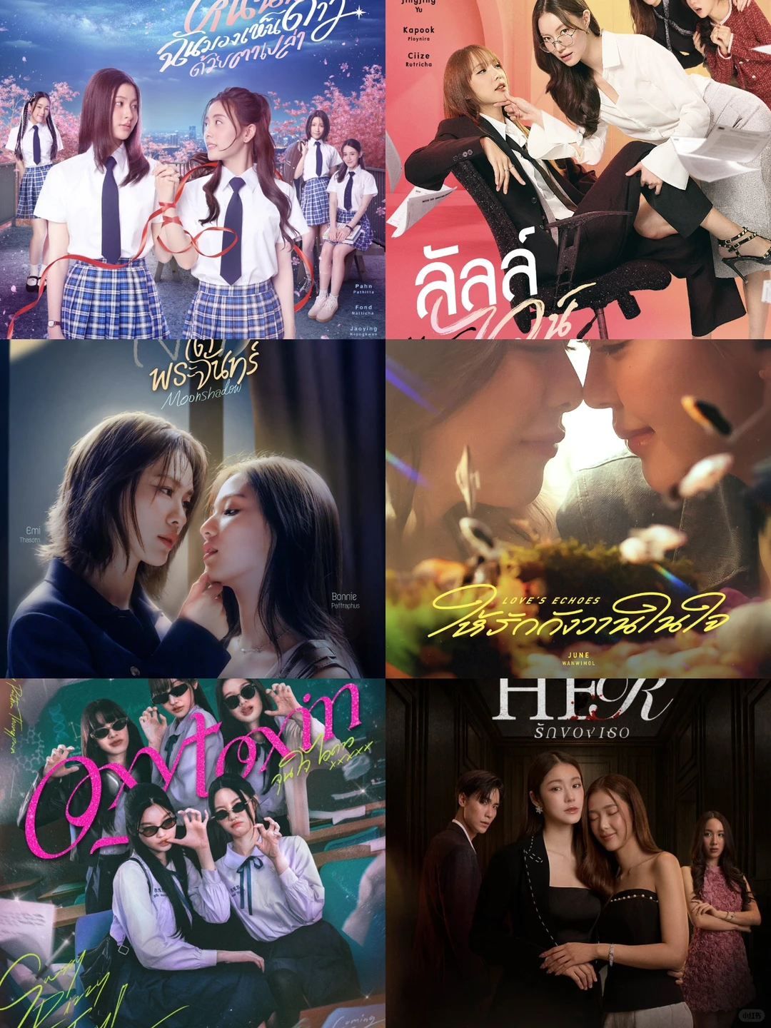 gmm推介会剧项目！