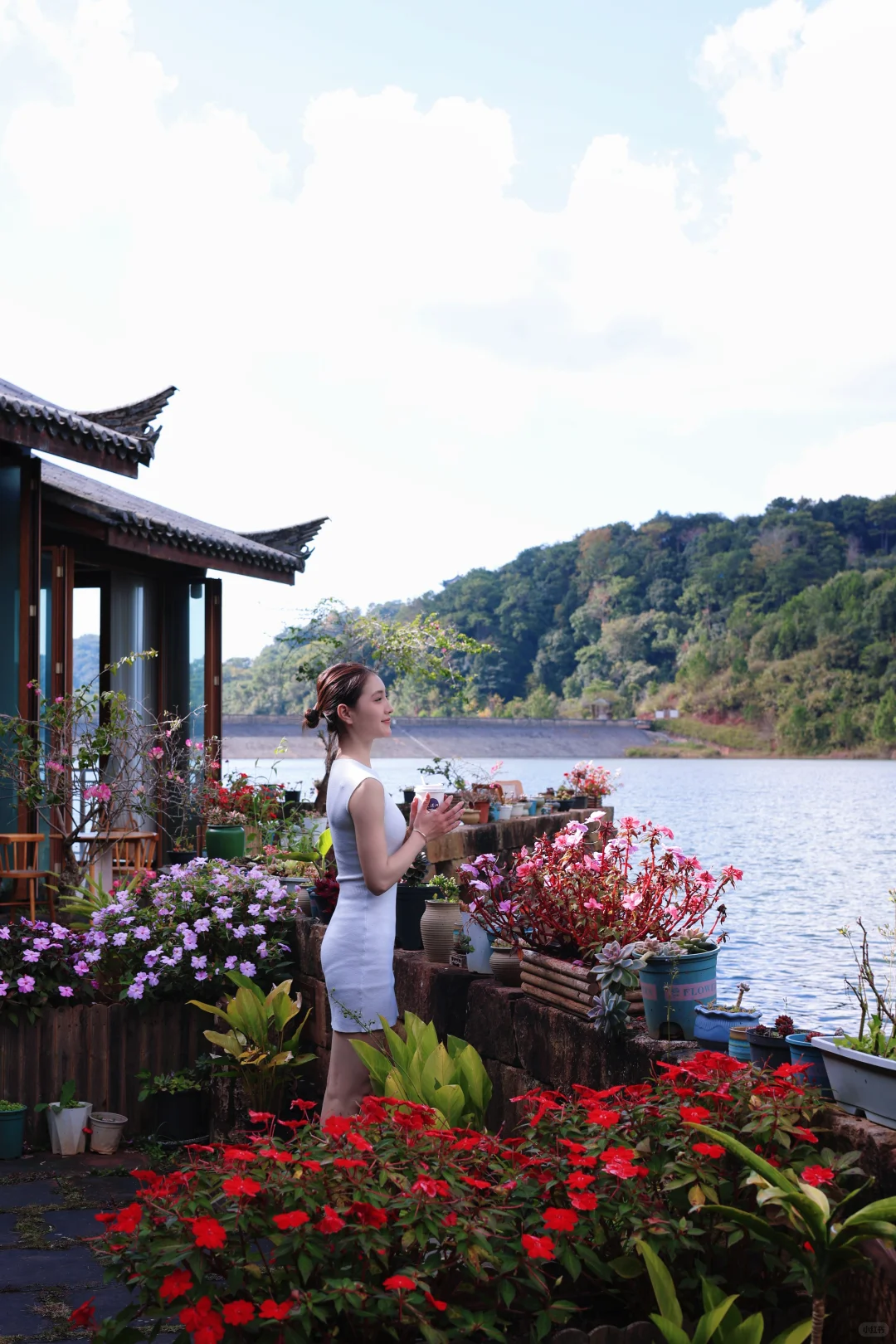 普洱‼️ 茶博会隐藏玩法大公开?