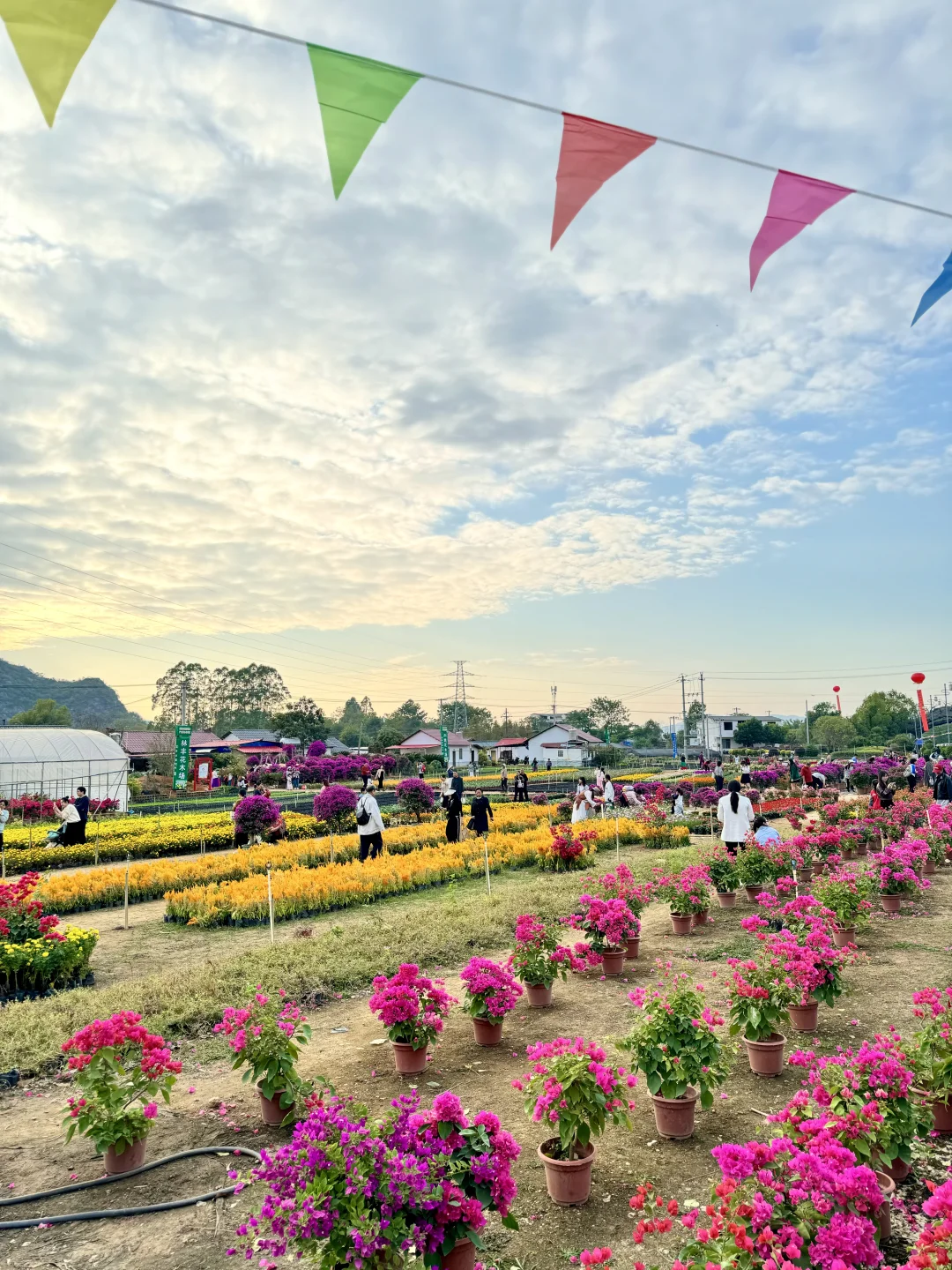 感觉今天1/3的桂林人都来了这里