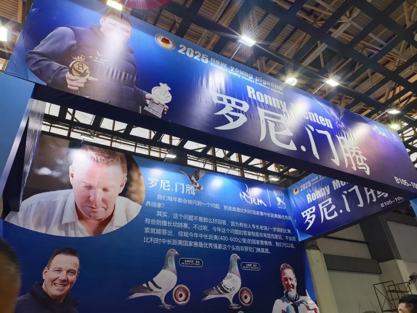 信鸽国家赛铭?展