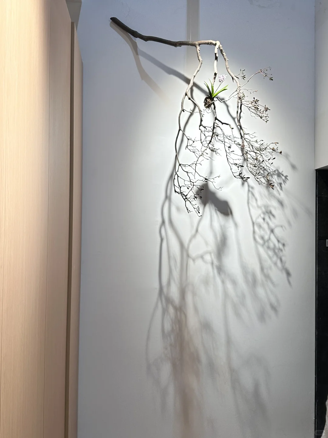 广州设计展｜海珠馆+国采馆