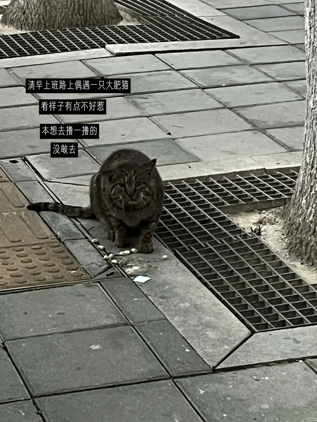 小县城｜养老日常｜逛展销会